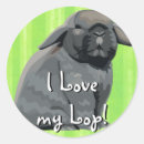 Search for lop rabbit stickers Bunny