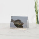 Search for alligators cards Green