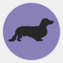 Search for long haired dachshund stickers Wiener