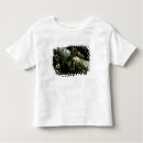 Search for effigy clothing School