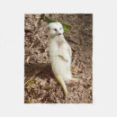 Search for meerkat blankets Animal