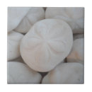 Search for sand dollar tiles Nautical