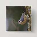 Search for red state badges Wildlife