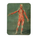 Search for 1780 magnets D'agoty