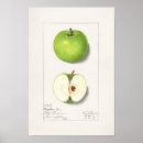 Search for retro apple posters Vintage