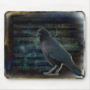 Search for blackbird electronics Crow