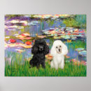 Search for poodle art posters Pets