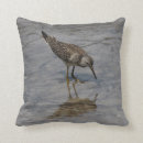 Search for sandpiper cushions Blue