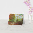 Search for less cards Adventure