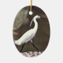 Search for egret christmas tree decorations Photography
