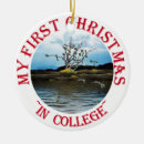 Search for money tree Cash