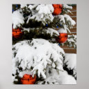 Search for canada posters National park