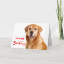 Search for golden birthday cards Puppy