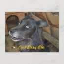 Search for bro postcards Cool story bro