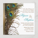 Search for elegant peacock wedding invitations Emerald