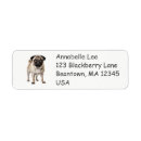 Search for pug dog return address labels Cartoon