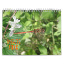 Search for ladybug calendars Bugs