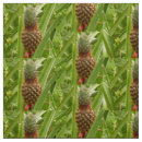 Search for exotic fabric Pineapple