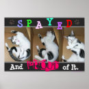 Search for spay posters Cats