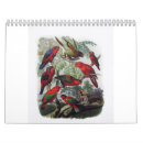 Search for parrot calendars Bird