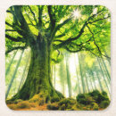 Search for beech home living Woods