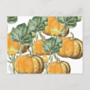 Search for fall postcards Rustic