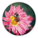 Search for bee knobs and pulls Floral