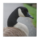 Search for goose tiles Birds