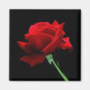 Search for glamour magnets Flowers