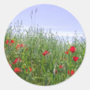 Search for green sky stickers Field