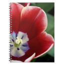Search for keukenhof Flower