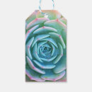Search for succulent gift tags Cactus