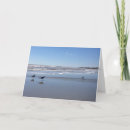 Search for funny seagull cards Beach