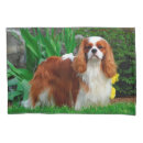 Search for spaniel pillowcases Pet
