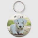 Search for remembrance key rings Cat