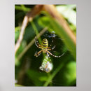 Search for wasps posters Animals