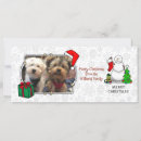 Search for cartoon snowmen christmas cards Funny