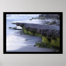Search for erosion posters Seascape