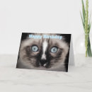 Search for siamese cat birthday cards Kitty