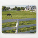 Search for fences mousepads Outdoors