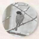 Search for cap coasters Snow
