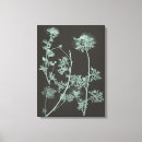 Search for study canvas prints Flowers