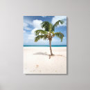 Search for aruba canvas prints Tropical beach
