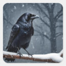 Search for raven bird stickers Animal