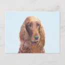 Search for setter postcards Irish