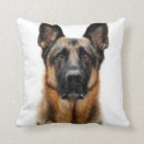 Search for german shepherd cushions Cute