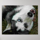 Search for anthro posters Furries