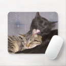 Search for cuddling electronics Kitten