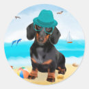 Search for dachshund dog stickers Animal lover