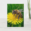 Search for honey bee birthday cards Insect